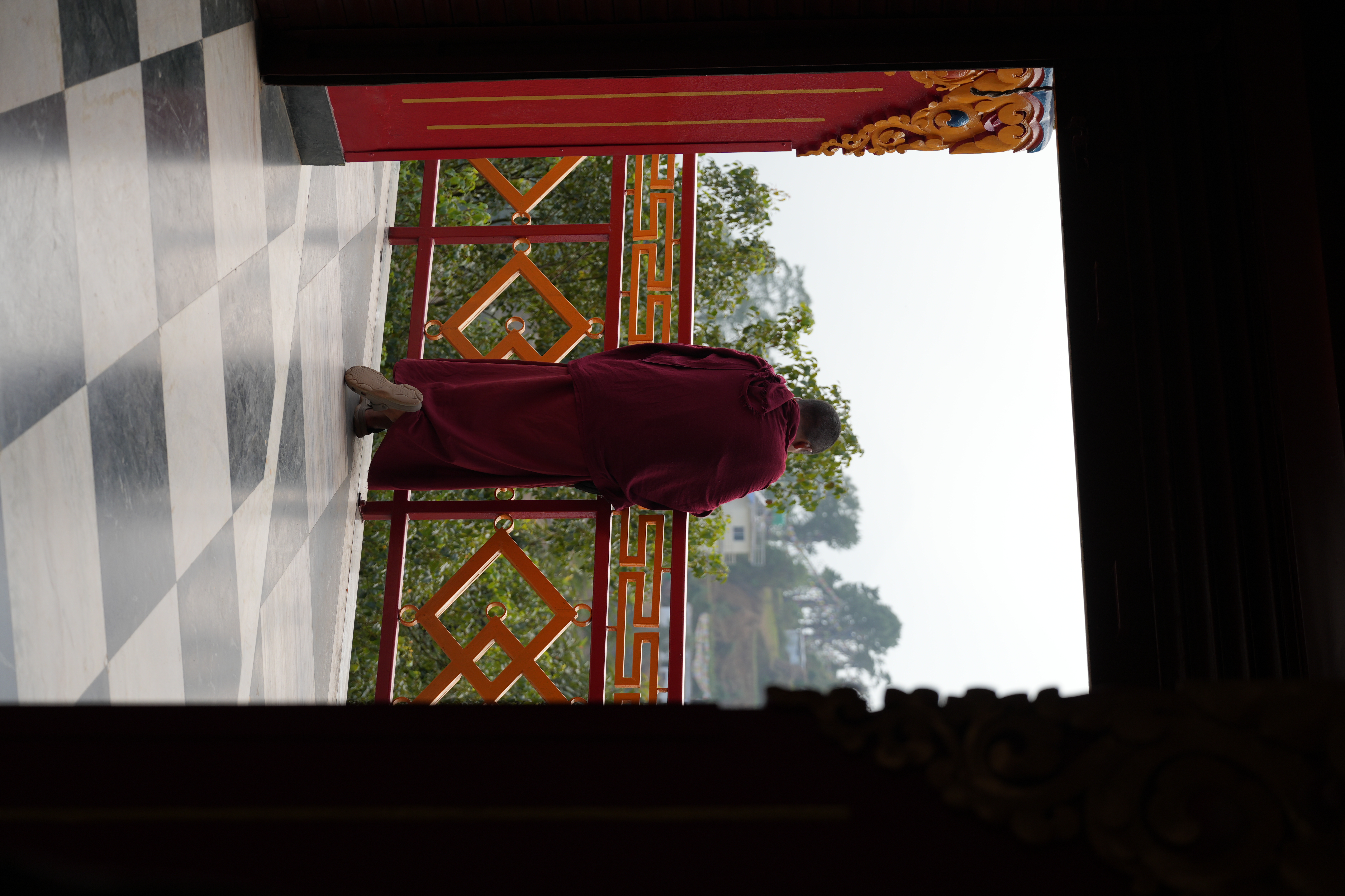 Op audiëntie bij de 9e Khenchen Thrangu Rinpoche